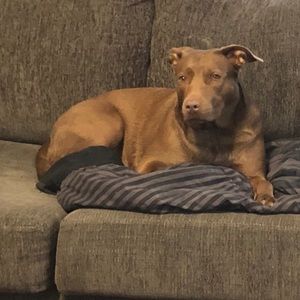 Meet your Posher, Michelle